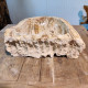 Vasque à poser 43x43 cm en bois pétrifié fossilisé (FOSS45-040YL)