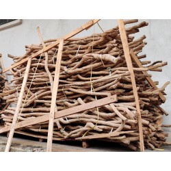 Lianes véritables Bali L200-250 cm idéal pour décoration (Fagot de 5)