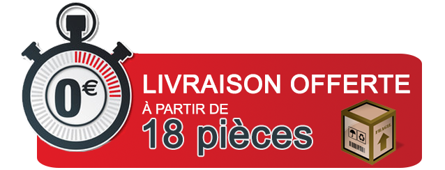 LIVRAISON-GRATUITE-18PC.png